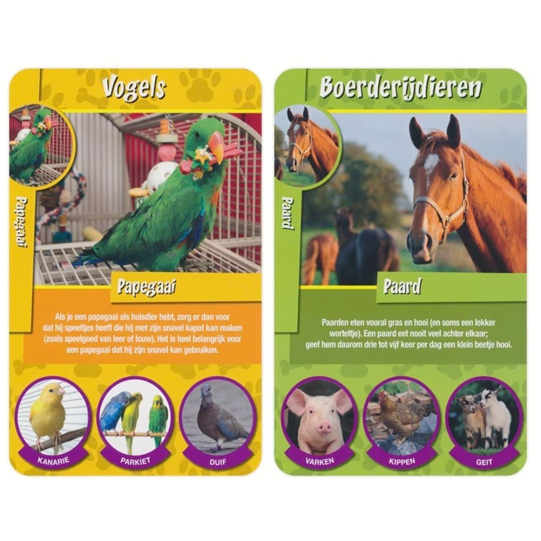 Identity Games: Huisdieren weetjes - Kwartet