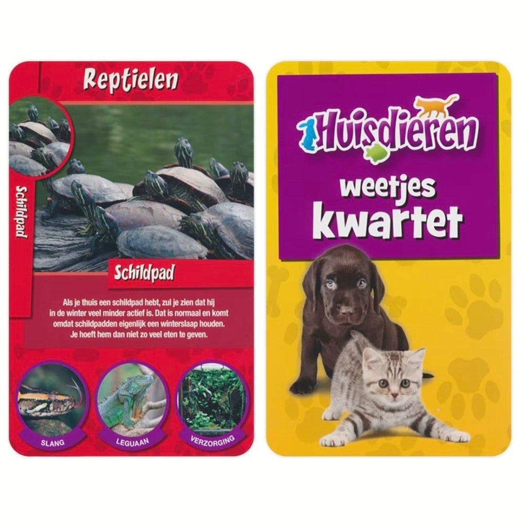 Identity Games: Huisdieren weetjes - Kwartet
