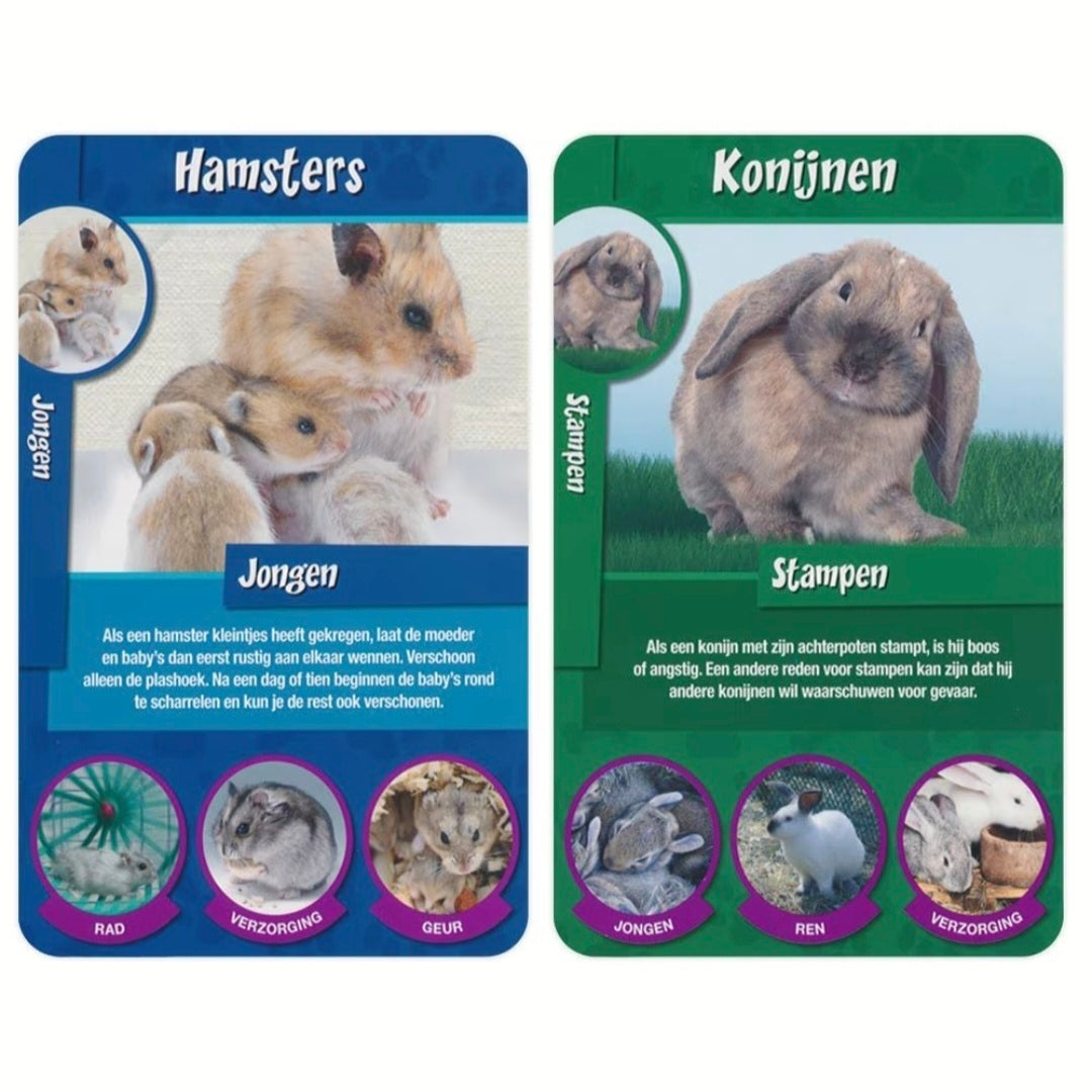 Identity Games: Huisdieren weetjes - Kwartet