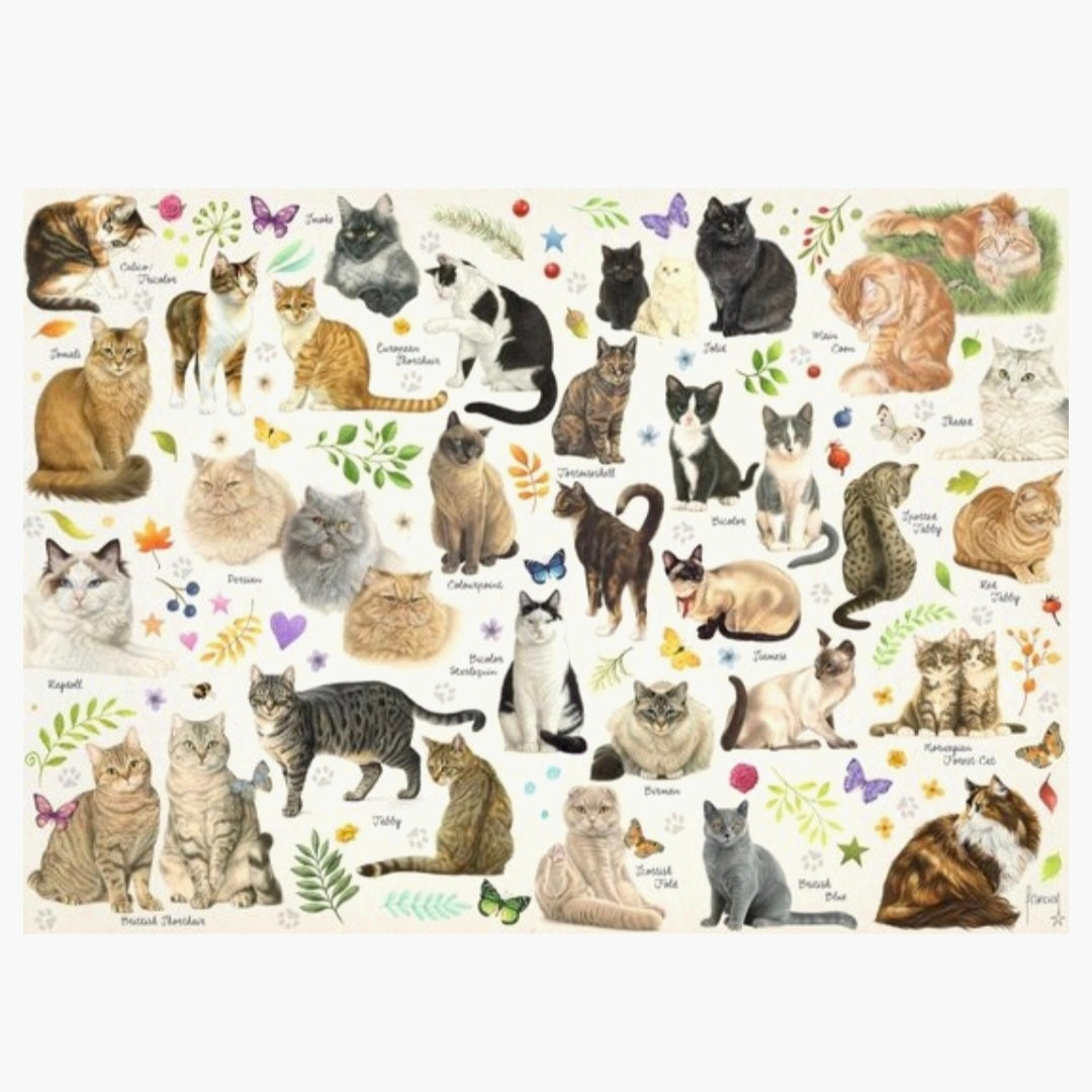 Jumbo: Francien - Kattenposter - 1000