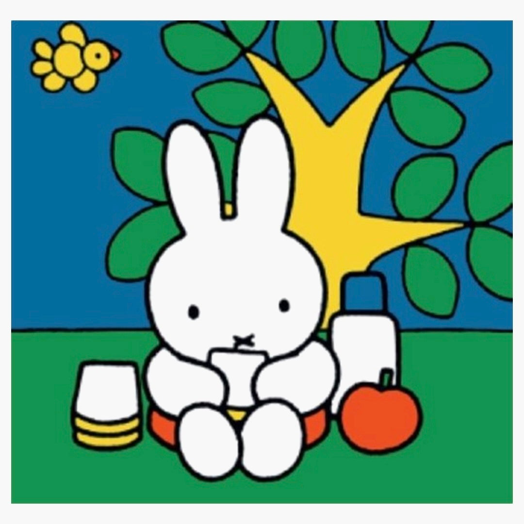 Nijntje: 4 Puzzels - 6+9+12+16