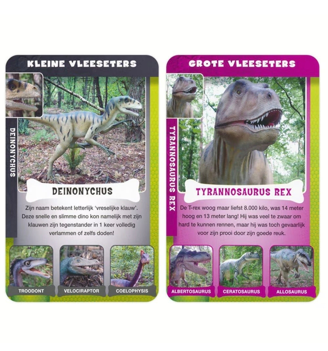 Identity Games: Dino weetjes - Kwartet