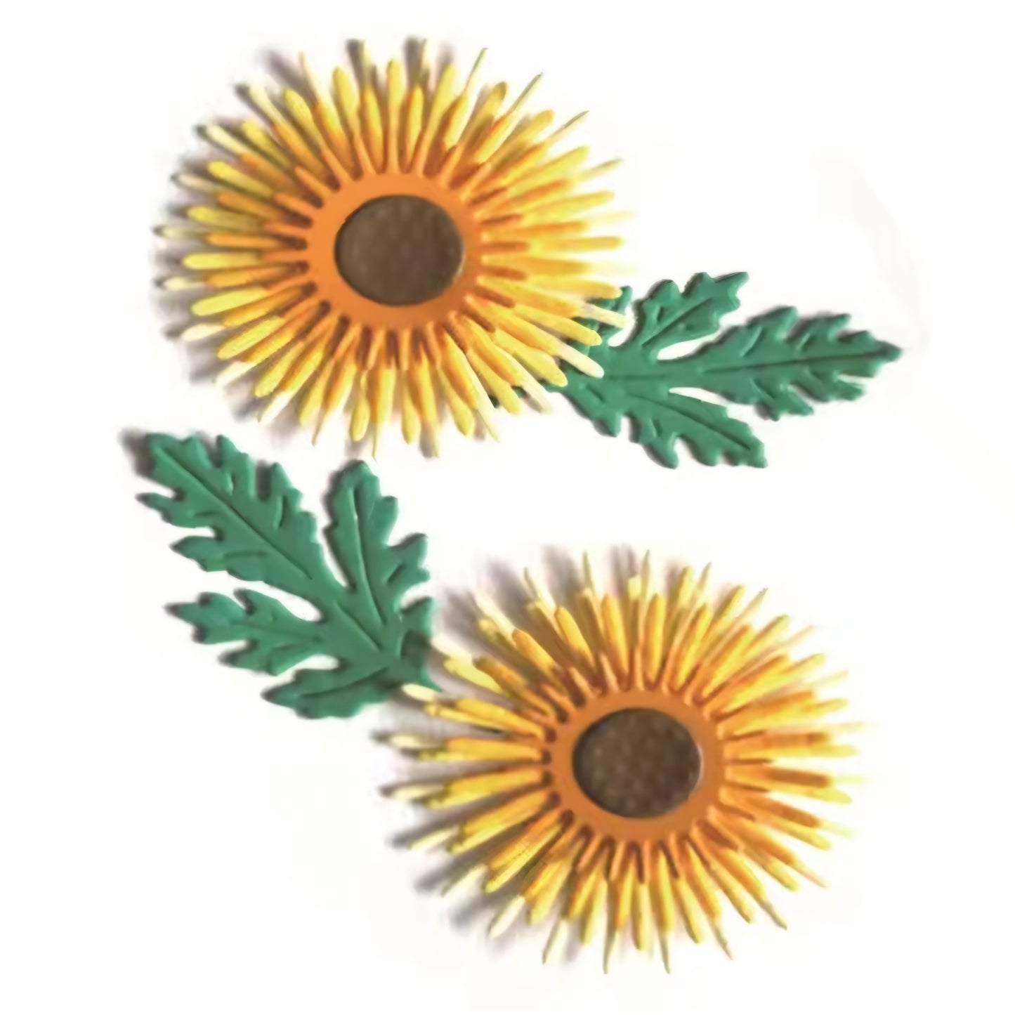 Stansmes Zonnebloem of Gebera