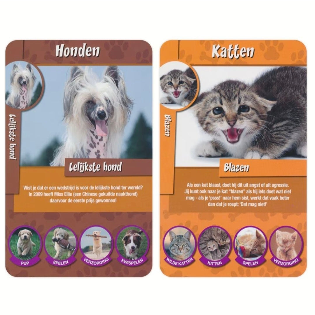 Identity Games: Huisdieren weetjes - Kwartet