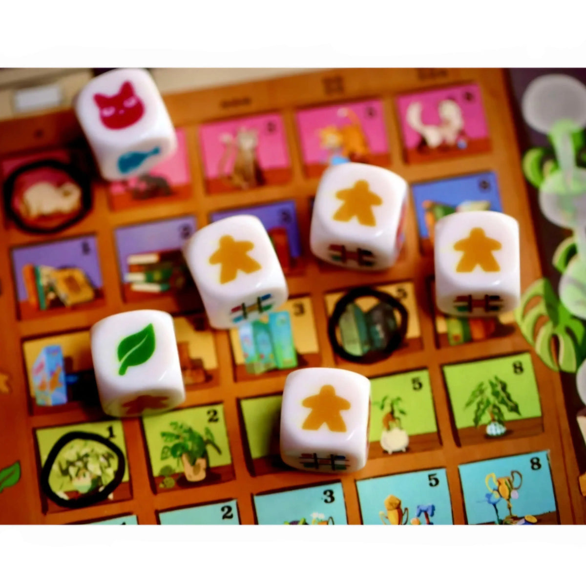 999 Games: My Shelfie - Het Dobbelspel  -  Multiplaza