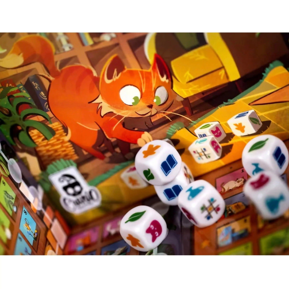 999 Games: My Shelfie - Het Dobbelspel  -  Multiplaza