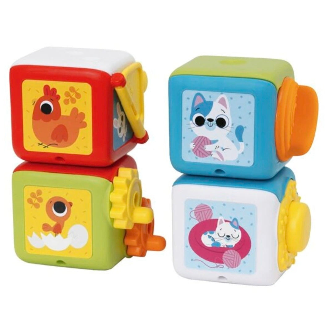 Chicco: 2-in-1 Multi-activiteitskubussen