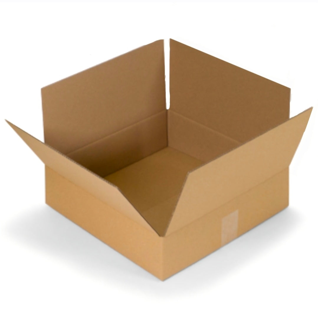 Amerikaanse Verzendoos: inwendig 257x255x73mm (30st)