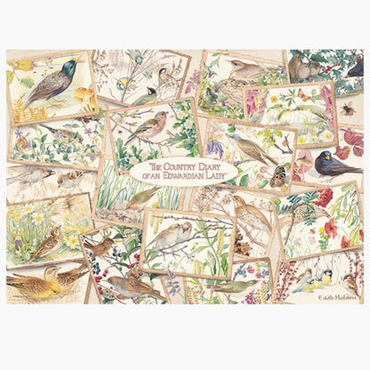 Falcon: The Country Diary Postcards - 1000