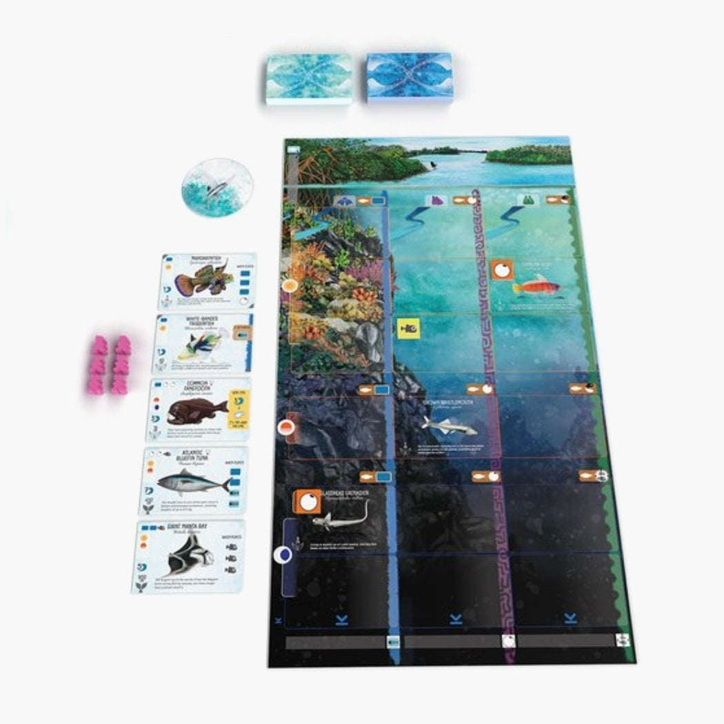 999 games: Finspan