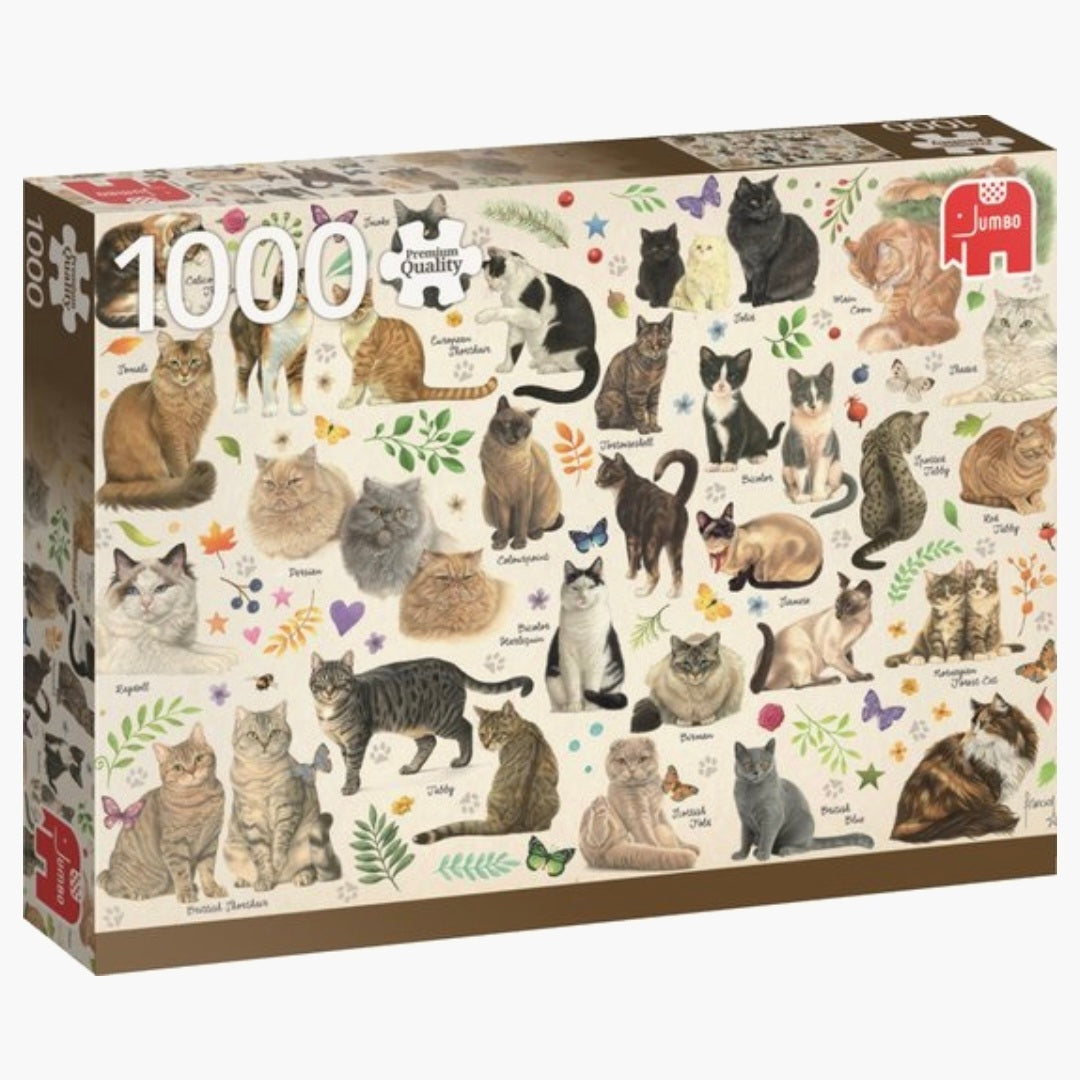 Jumbo: Francien - Kattenposter - 1000