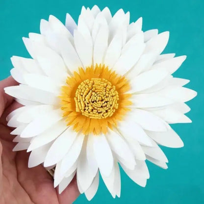 Stansmes Gerbera