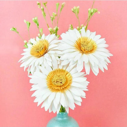 Stansmes Gerbera