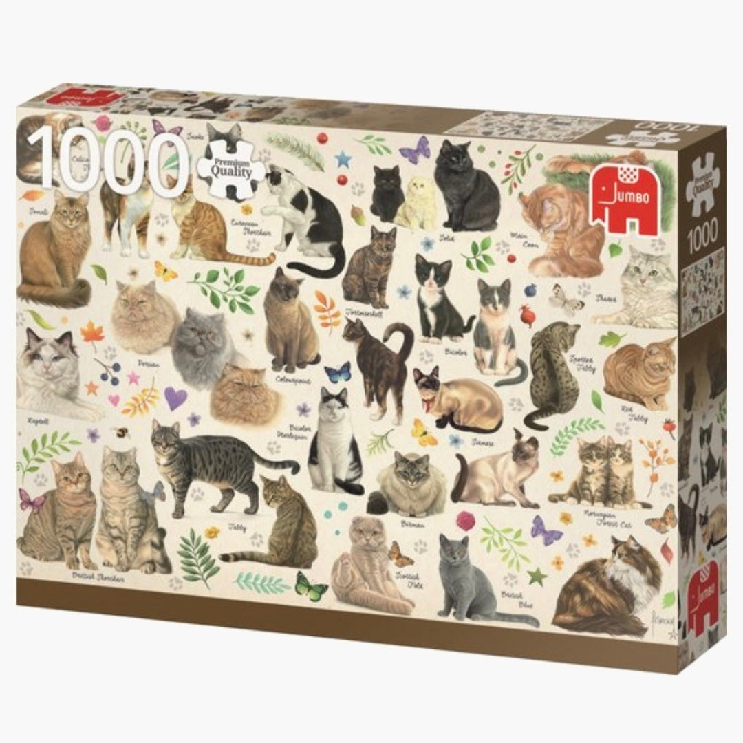 Jumbo: Francien - Kattenposter - 1000