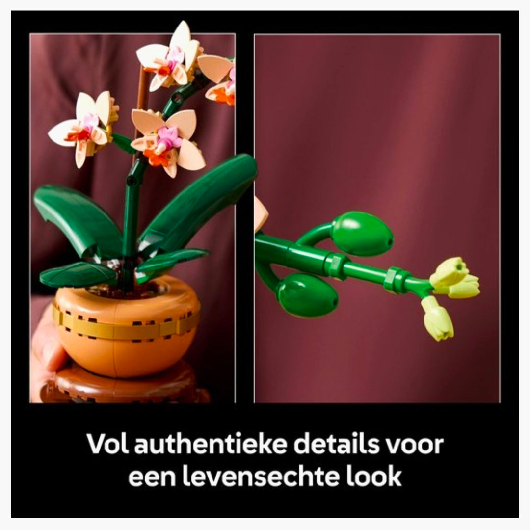 LEGO 10343: Botanical - Mini Orchidee