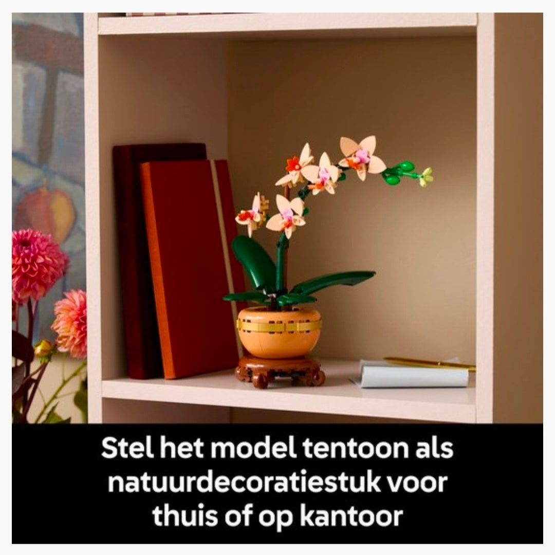 LEGO 10343: Botanical - Mini Orchidee