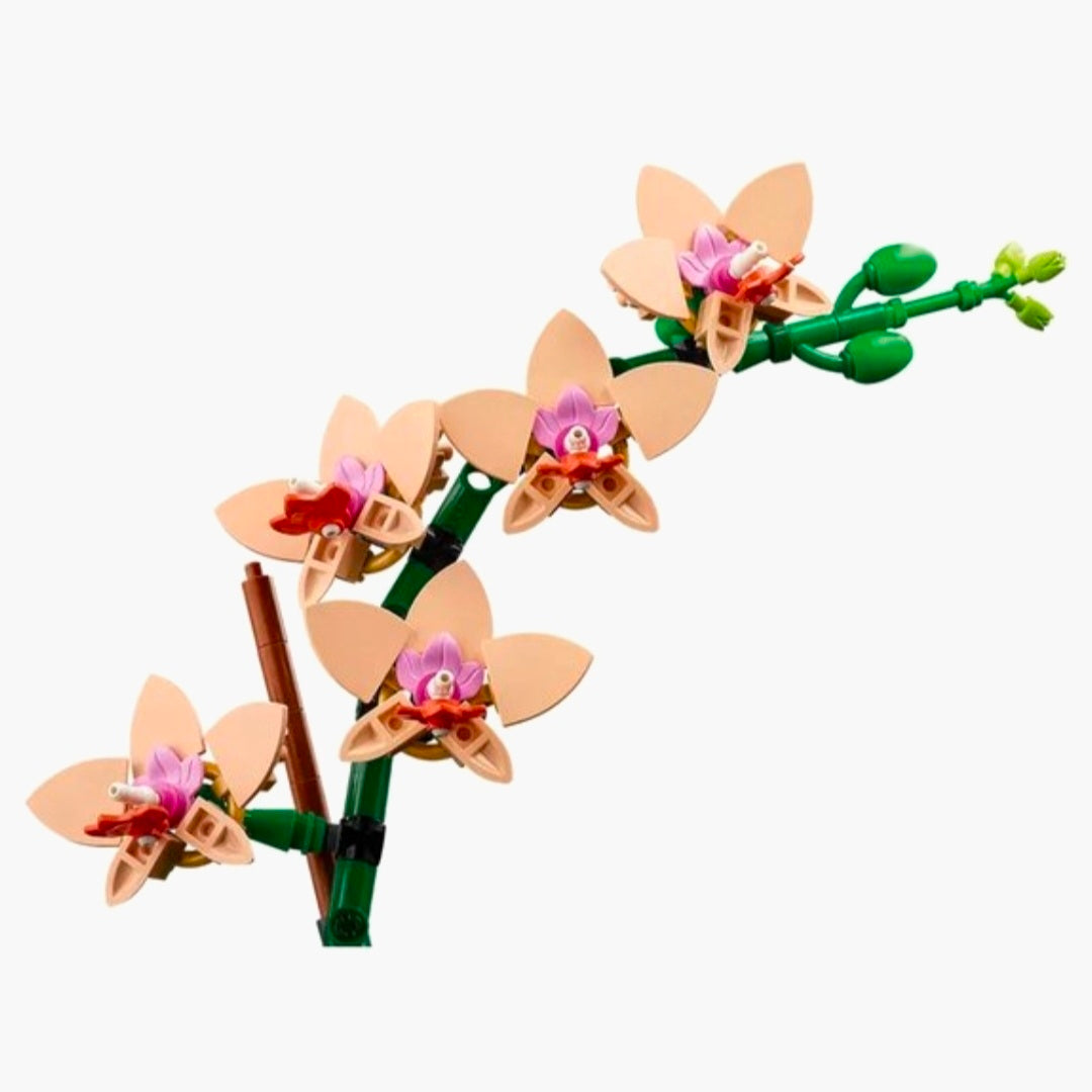 LEGO 10343: Botanical - Mini Orchidee