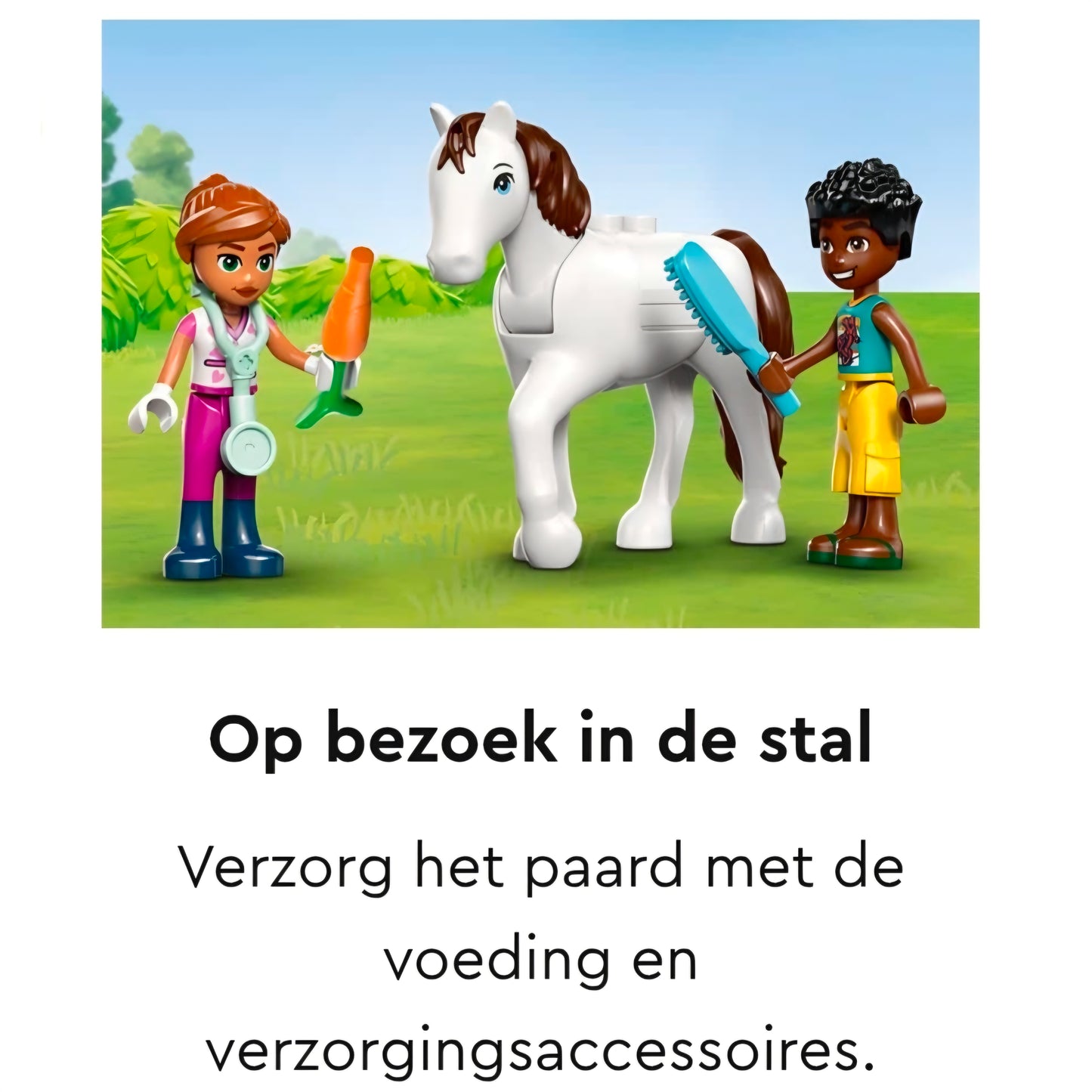 LEGO 42696: Friends - Huisdierenkliniek