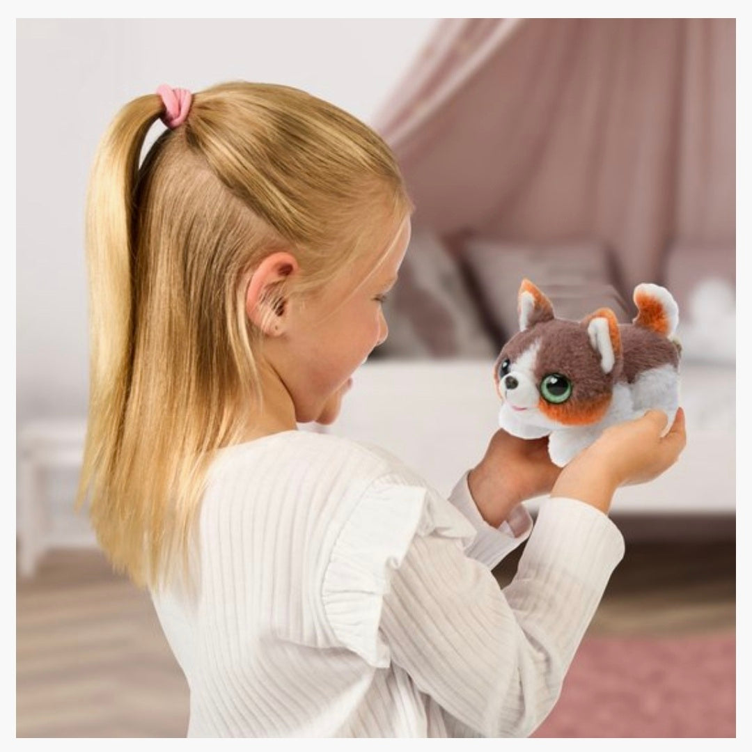 Little Live Pets: My Puppy's Home