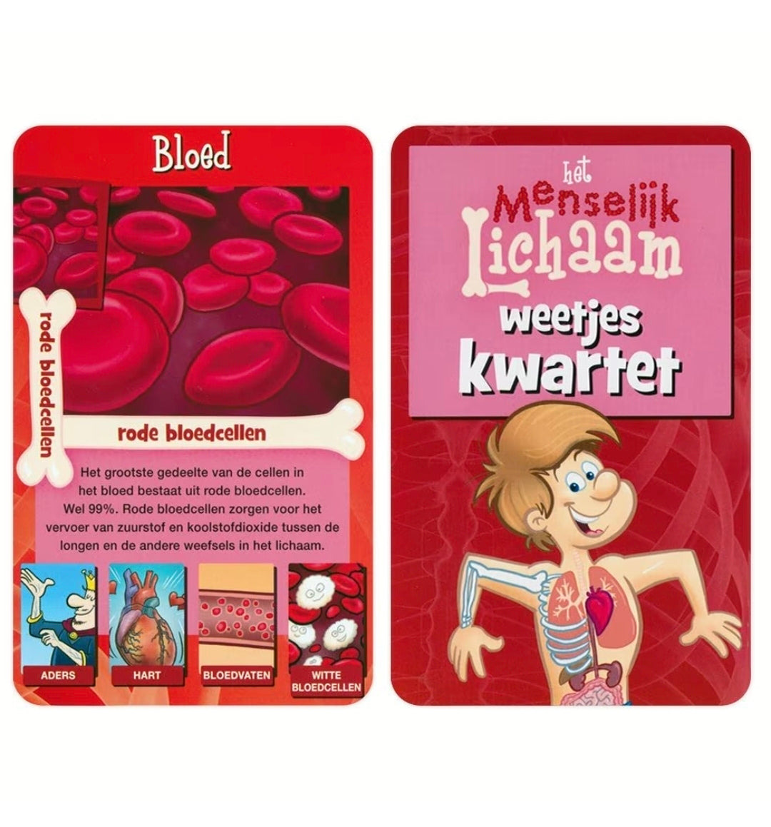 Identity Games: Menselijk Lichaam weetjes - Kwartet