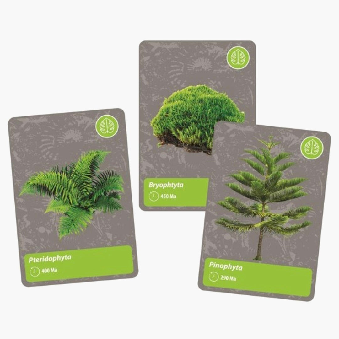 Clementoni: Wetenschap & Spel - Geschiedenis v.h. leven op Aarde