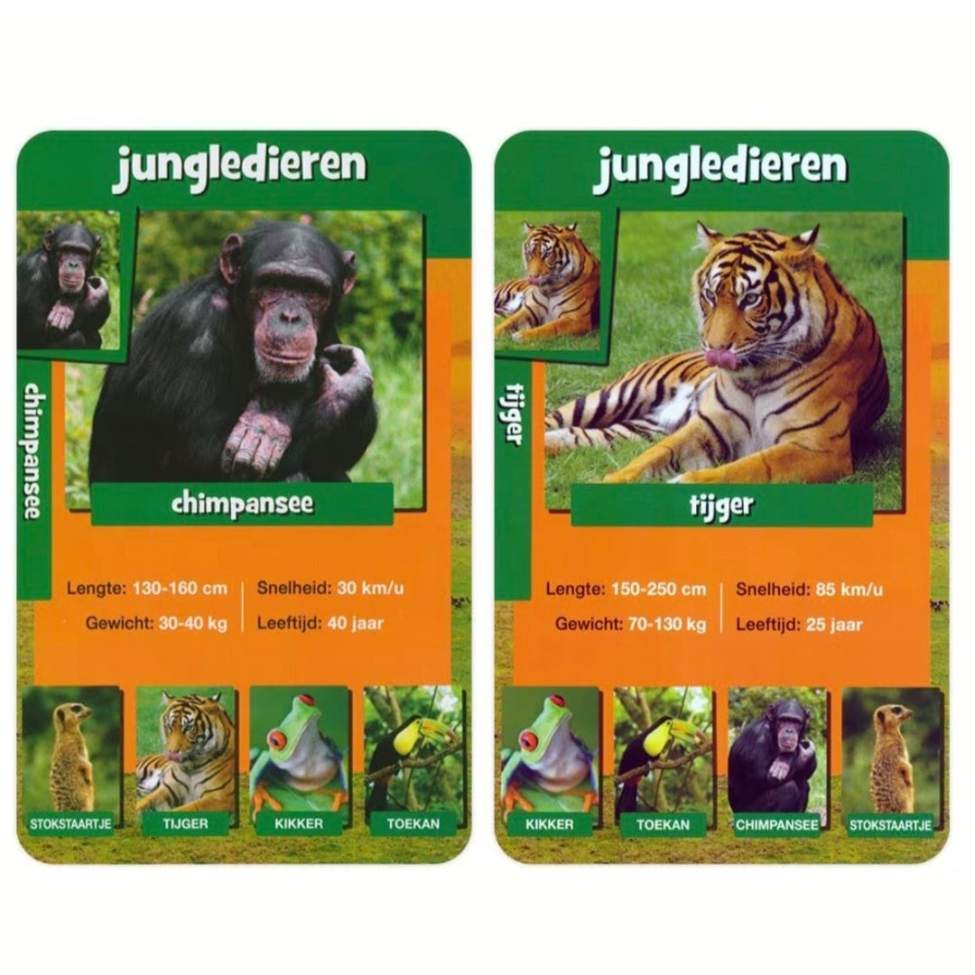 Identity Games: Wildlife Weetjes - Kwartet