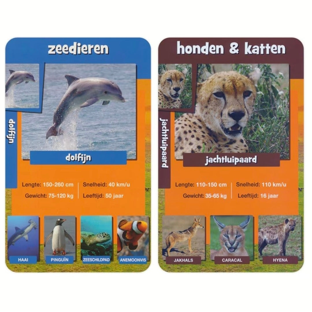 Identity Games: Wildlife Weetjes - Kwartet